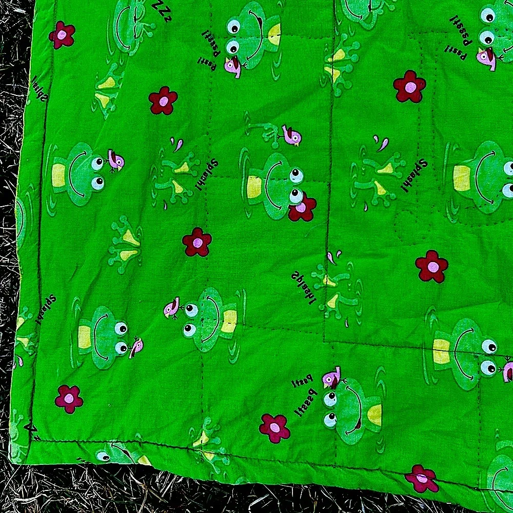 Child Quilt Hand Quilted ABCs Frogs Animals Bugs